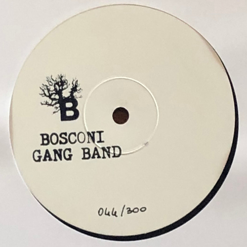 Bosconi Gang Band - Live At Manifattura Tabacchi [BOSCOGANG1]